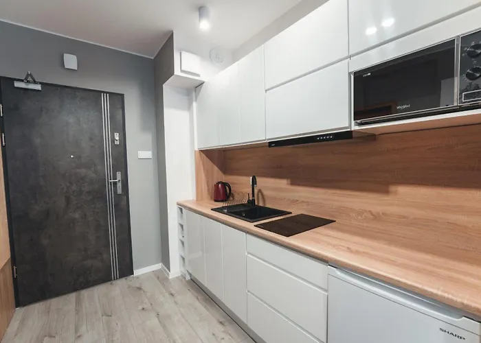 Apartament9 Zrodlana Mountainaparts Apartment